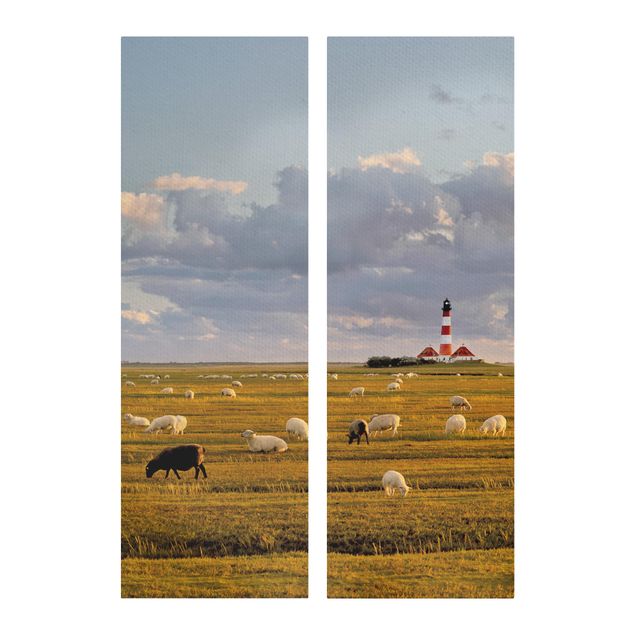 Tavlor stränder North Sea Lighthouse With Flock Of Sheep