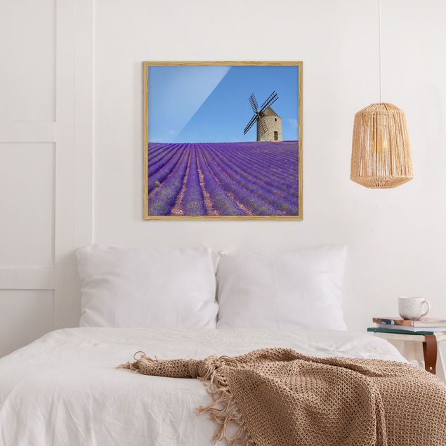 Tavlor arkitektur och skyline Lavender Scent In The Provence