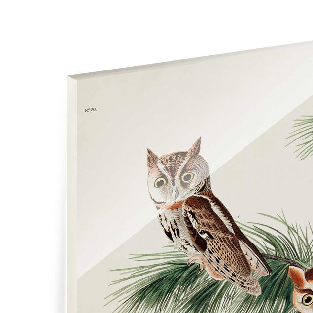 Tavlor brun Vintage Board Screech Owl