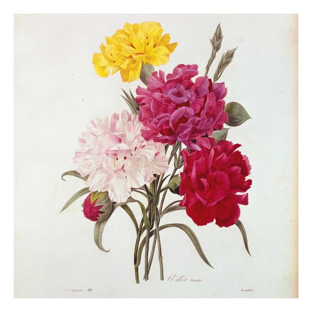 Glastavlor blommor  Pierre Joseph Redoute - Cloves