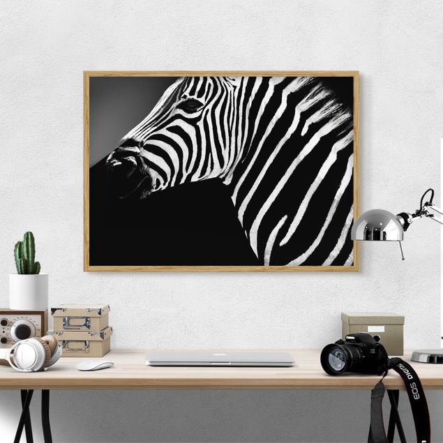 Tavlor zebror Zebra Safari Art