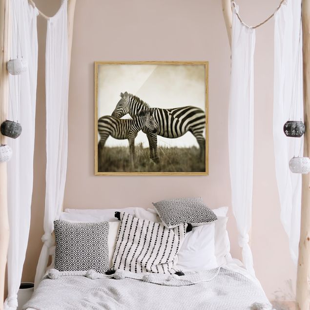Tavlor med ram svart och vitt Zebra Couple