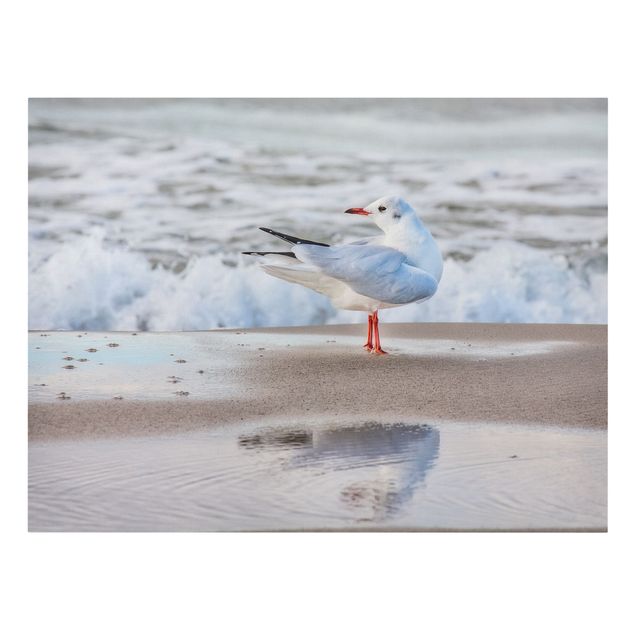 Tavlor hav Seagull On The Beach In Front Of The Sea