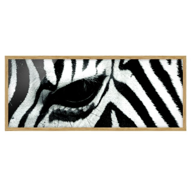 Tavlor med ram djur Zebra Crossing