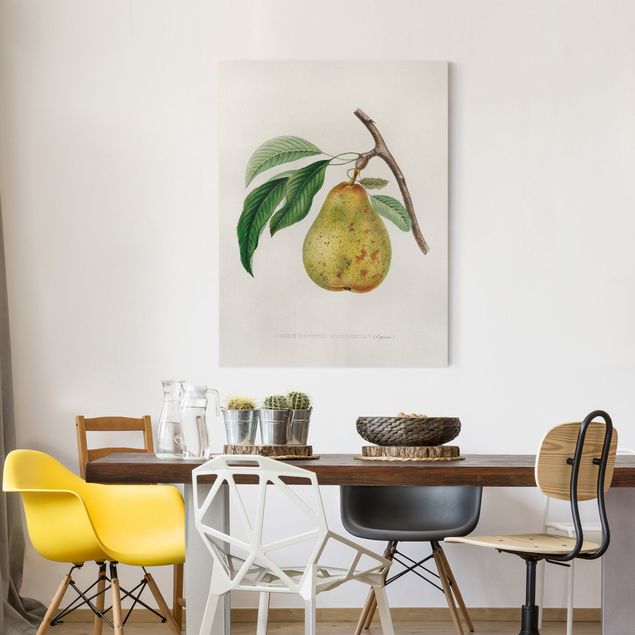 Canvastavlor grönsaker och frukt Botany Vintage Illustration Yellow Pear