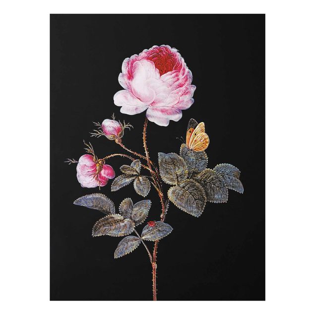 Konststilar Barbara Regina Dietzsch - The Hundred-Petalled Rose