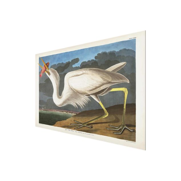 Tavlor Vintage Board Great White Egret