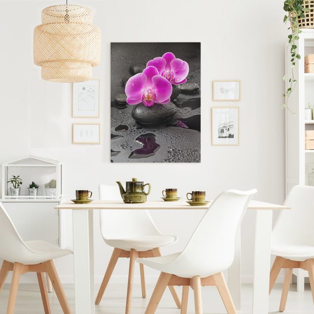Canvastavlor orkidéer Pink Orchid Flower On Stones With Drops