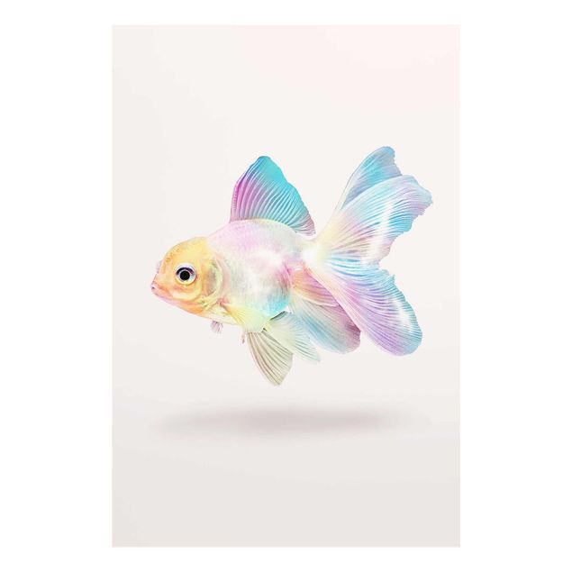 Tavlor modernt Fish In Pastel