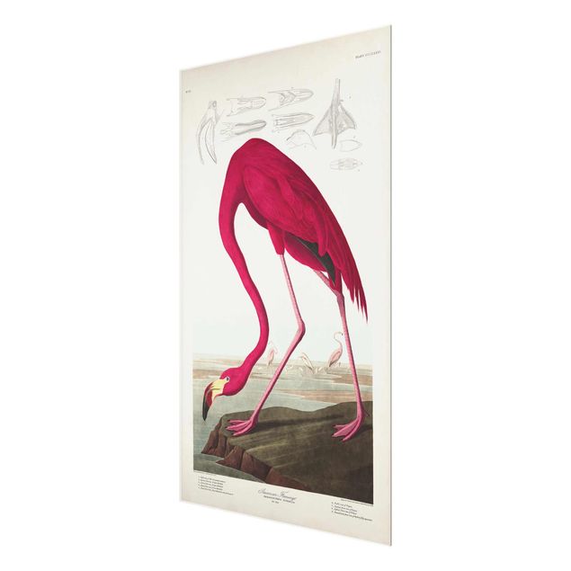 Glas Magnettavla Vintage Board American Flamingo