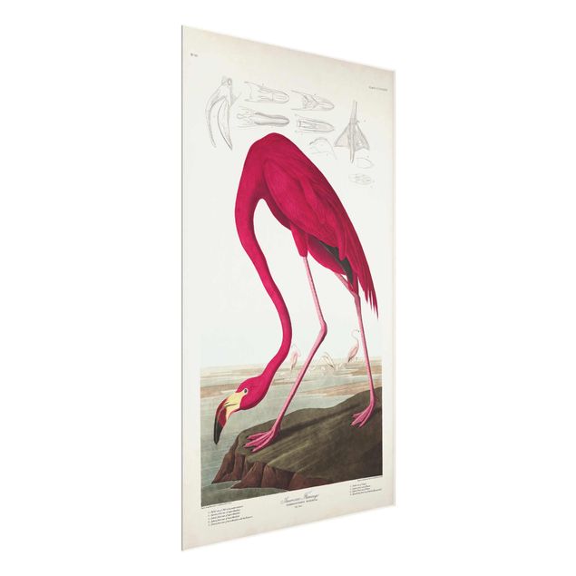 Tavlor blommor  Vintage Board American Flamingo