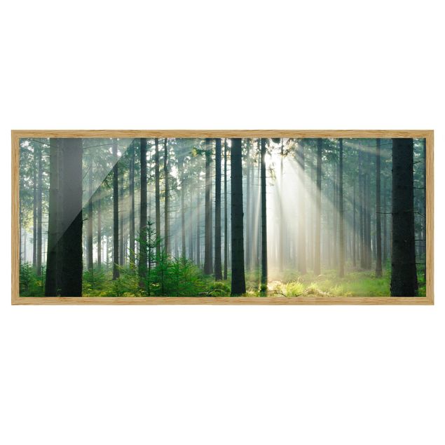 Tavlor med ram landskap Enlightened Forest