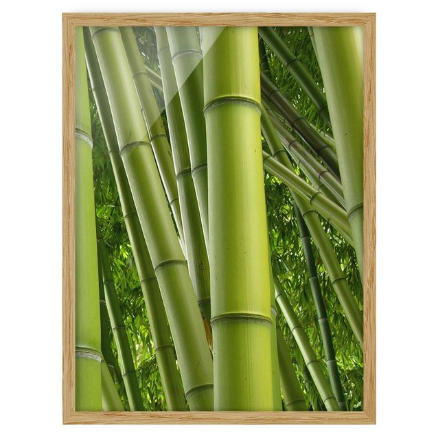 Tavlor med ram blommor  Bamboo Trees No.2