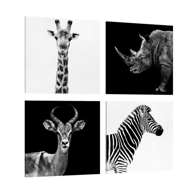 Canvastavlor svart och vitt Safari Quartet