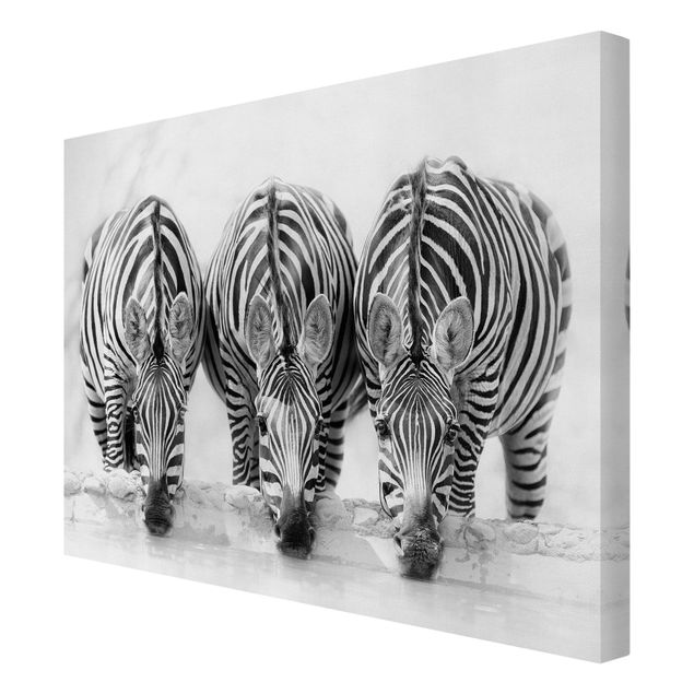Tavlor modernt Zebra Trio In Black And White