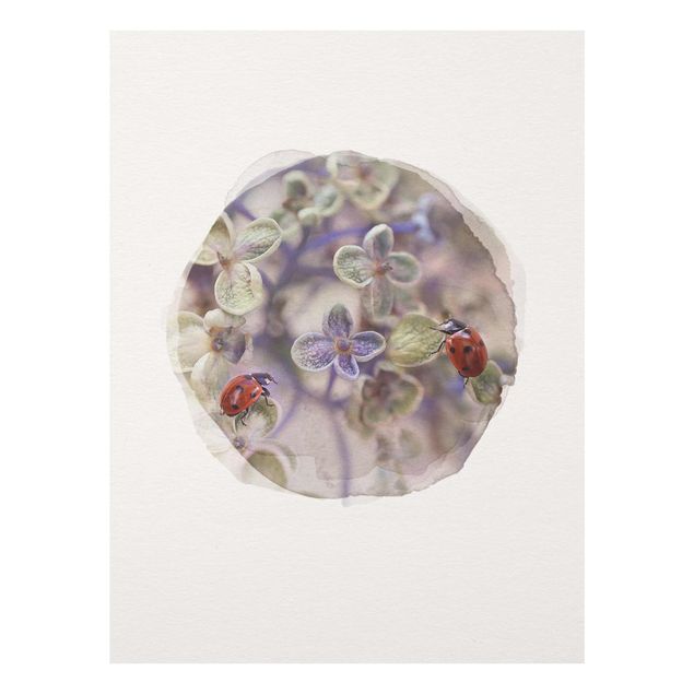 Tavlor blommor  WaterColours - Ladybugs In The Garden