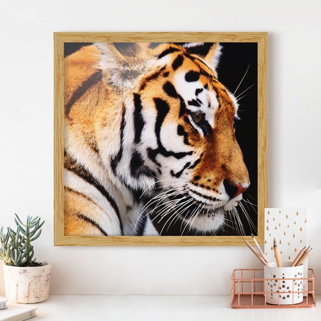Kök dekoration Tiger Beauty
