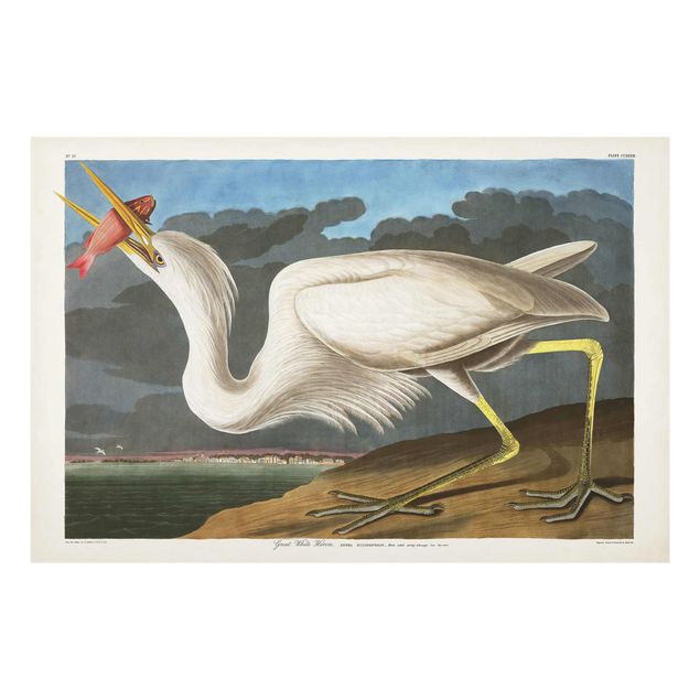 Tavlor vintage Vintage Board Great White Egret