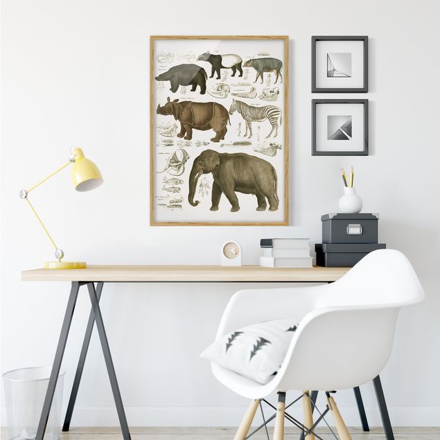 Tavlor elefanter Vintage Board Elephant, Zebra And Rhino