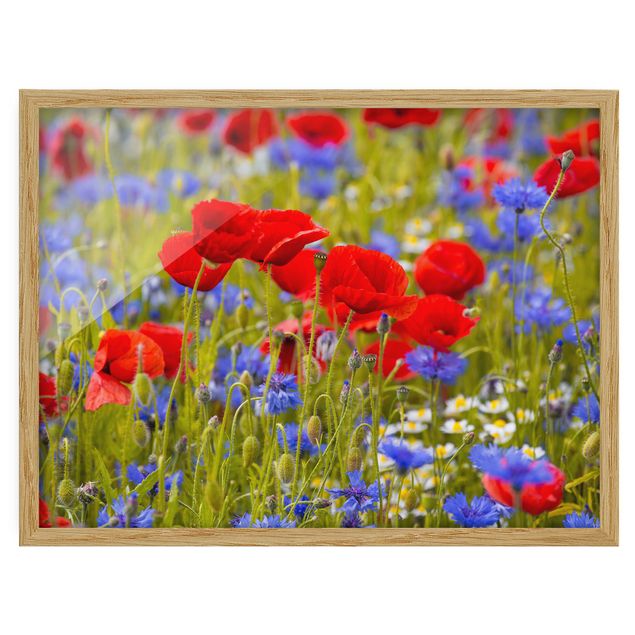 Tavlor blommor Summer Meadow With Poppies And Cornflowers