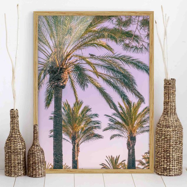 Kök dekoration Palm Trees At Sunset
