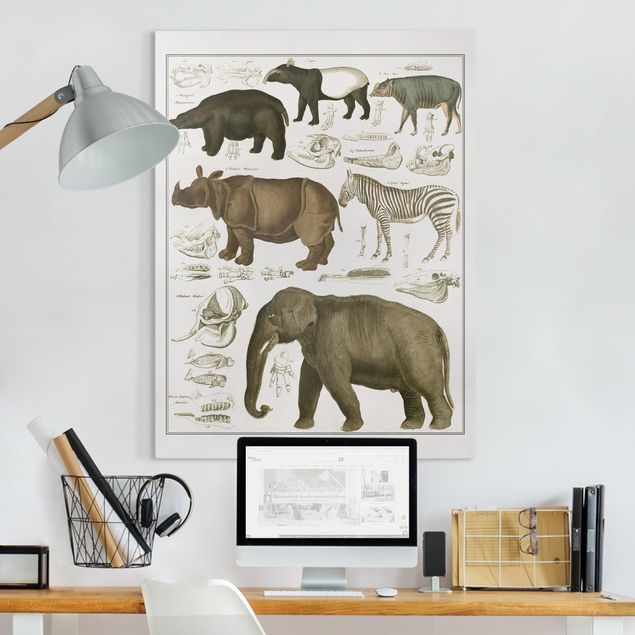 Canvastavlor elefanter Vintage Board Elephant, Zebra And Rhino