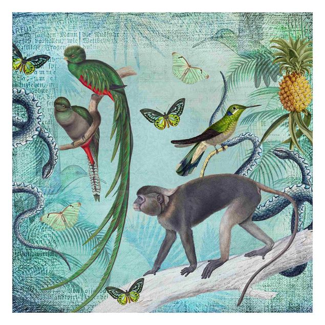 Fototapeter djur Colonial Style Collage - Monkeys And Birds Of Paradise