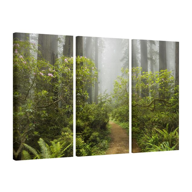 Canvastavlor landskap Misty Forest Path