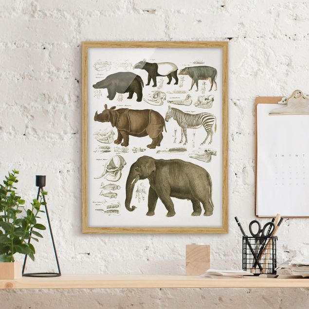 Kök dekoration Vintage Board Elephant, Zebra And Rhino