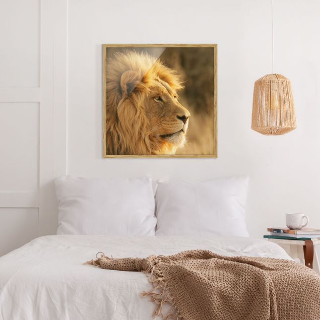 Tavlor med ram djur King Lion