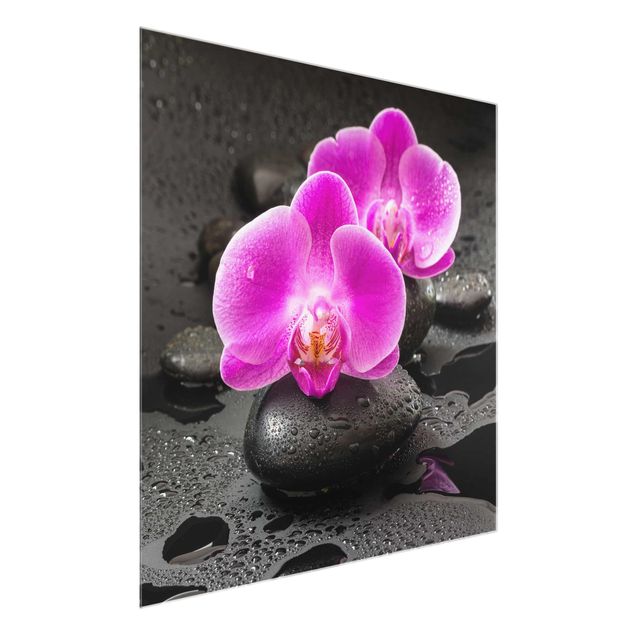 Glastavlor blommor  Pink Orchid Flower On Stones With Drops