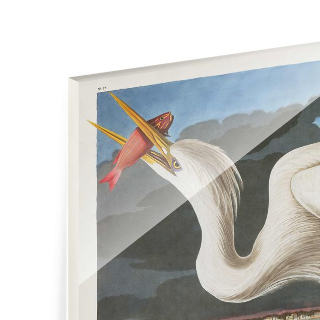 Glas Magnettavla Vintage Board Great White Egret