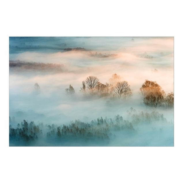 Fototapeter beige Fog At Sunrise