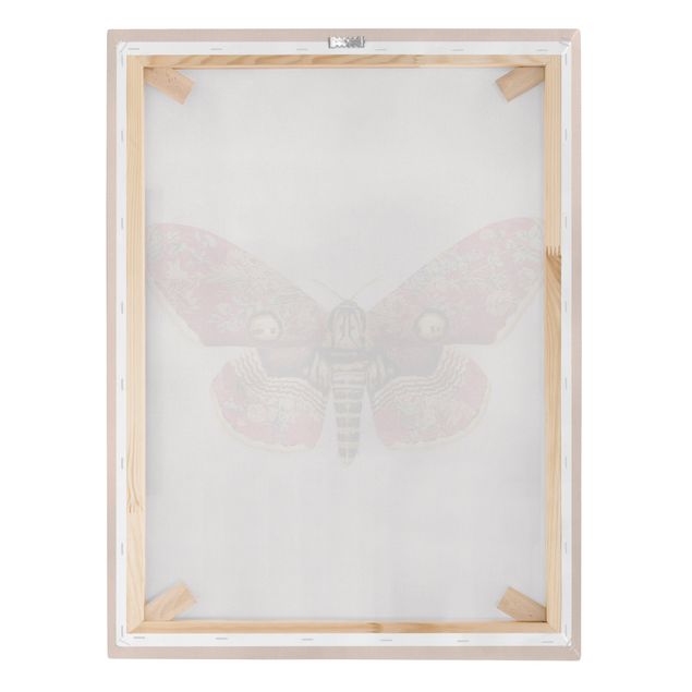 Tavlor Vintage Moth