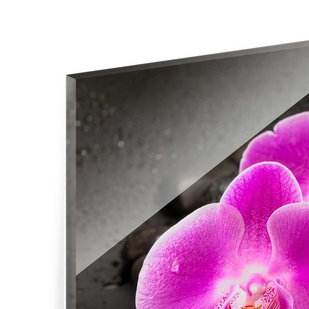 Tavlor Uwe Merkel Pink Orchid Flower On Stones With Drops