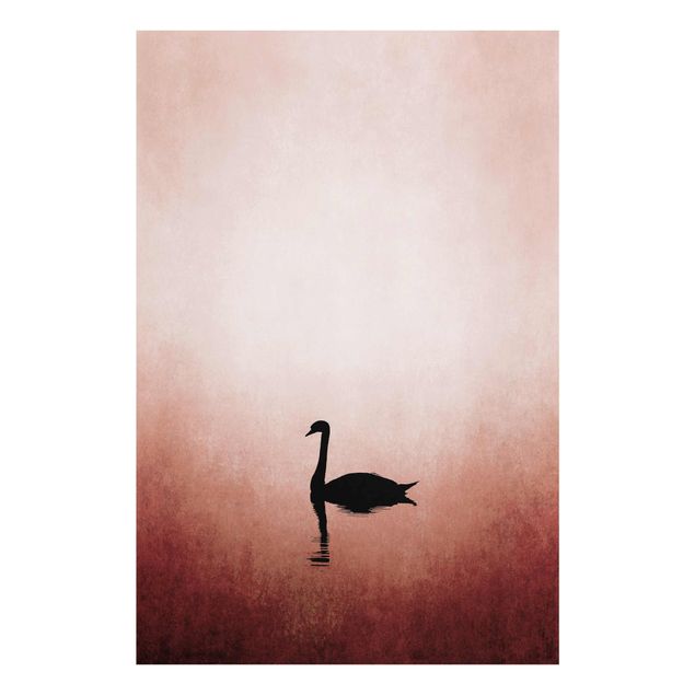 Glastavlor djur Swan In Sunset