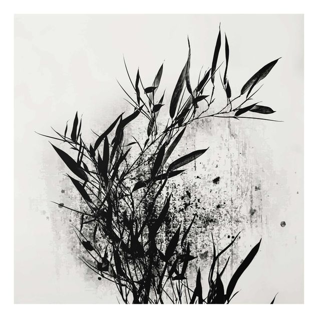 Glastavlor blommor  Graphical Plant World - Black Bamboo