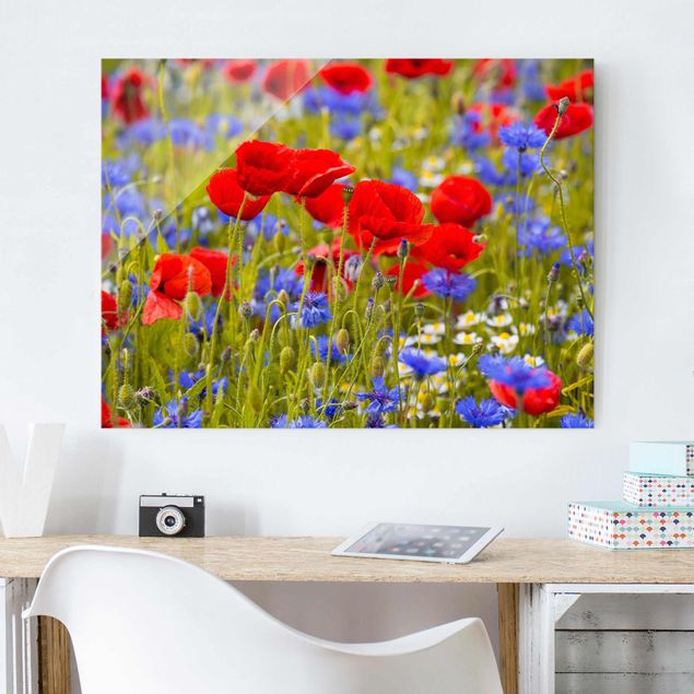 Glastavlor vallmor Summer Meadow With Poppies And Cornflowers