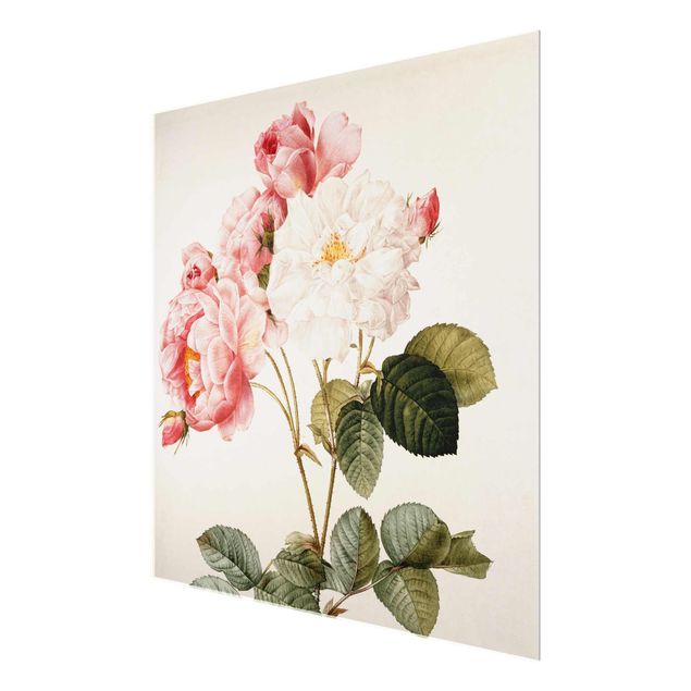 Glastavlor blommor  Pierre Joseph Redoute - Pink Damascena