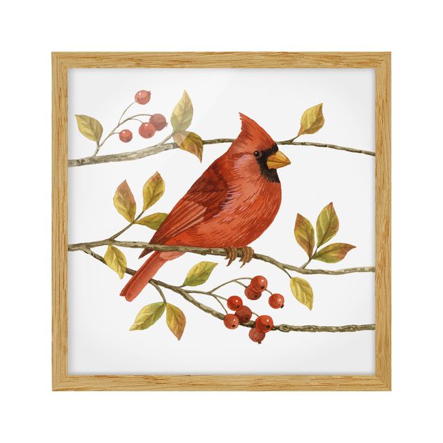 Tavlor retro Birds And Berries - Northern Cardinal