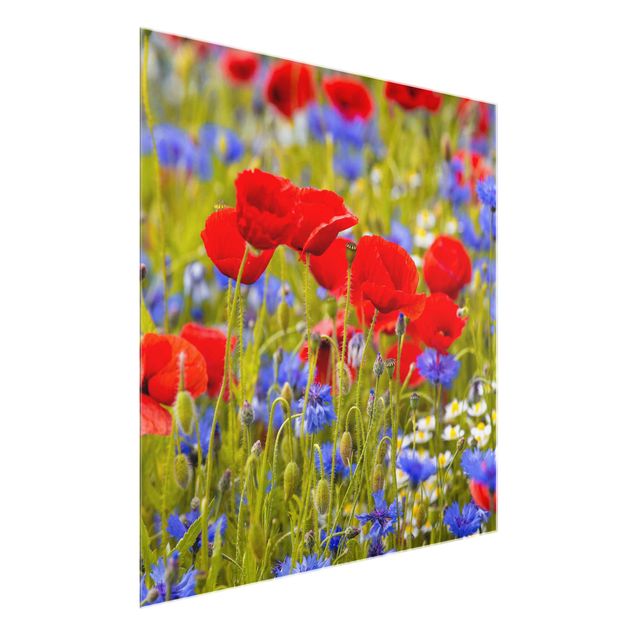 Glastavlor blommor  Summer Meadow With Poppies And Cornflowers