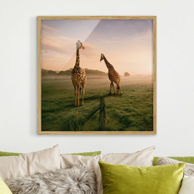Tavlor giraffer Surreal Giraffes