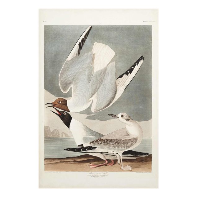 Glastavlor landskap Vintage Board Bonaparte Gull
