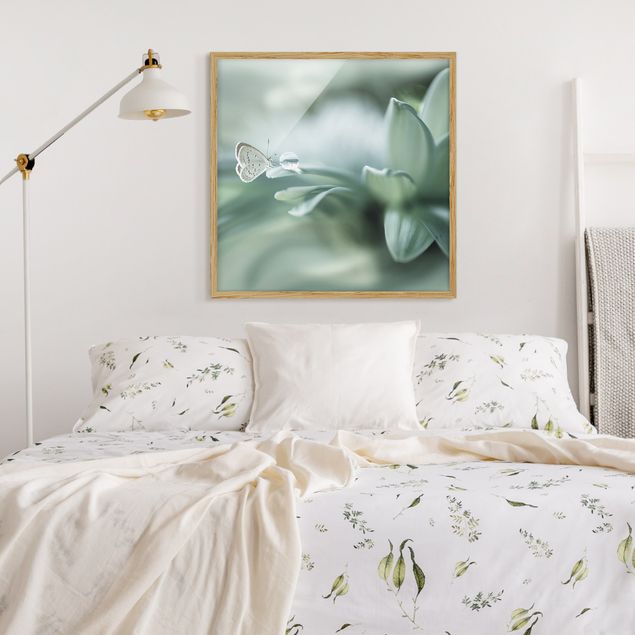 Tavlor med ram blommor  Butterfly And Dew Drops In Pastel Green