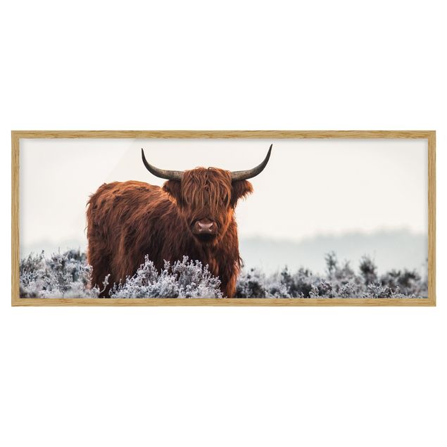 Tavlor djur Bison In The Highlands