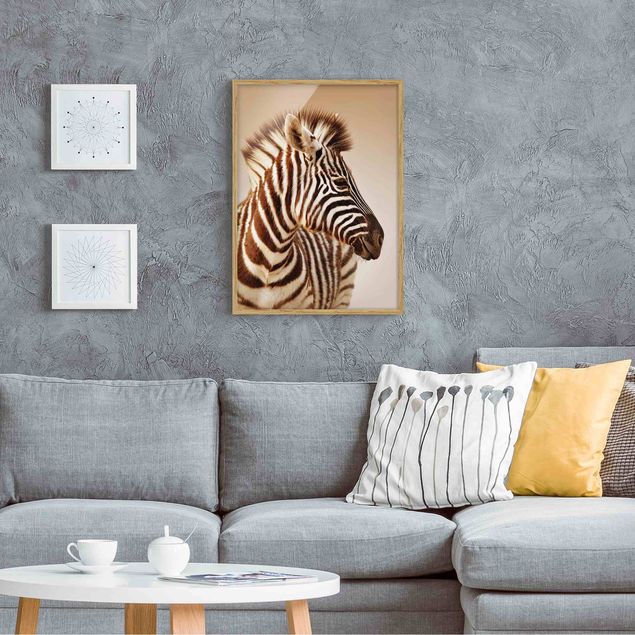 Tavlor med ram djur Zebra Baby Portrait