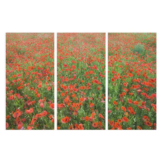 Tavlor blommor Poppy Field
