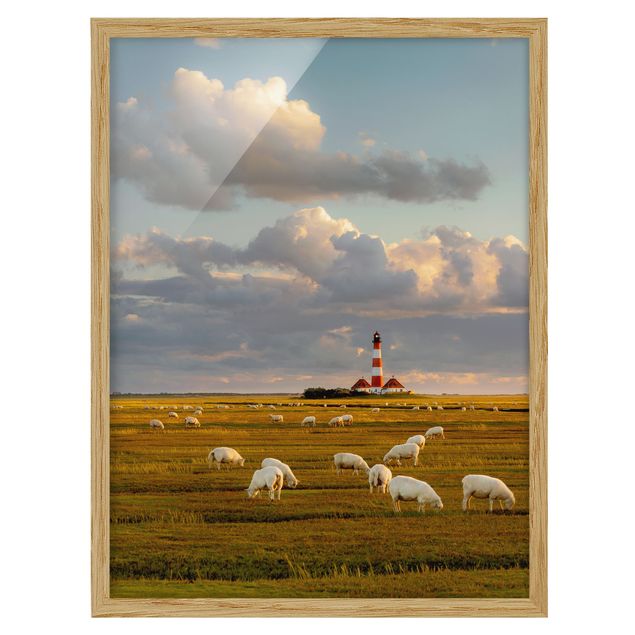 Tavlor hav North Sea Lighthouse With Flock Of Sheep