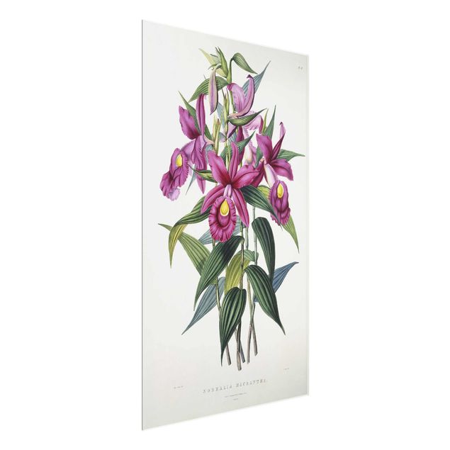 Konstutskrifter Maxim Gauci - Orchid I