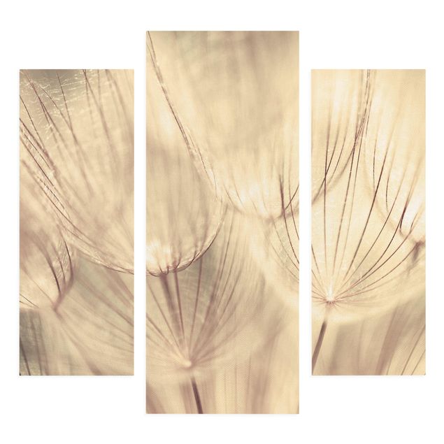 Canvastavlor svart och vitt Dandelions Close-Up In Cozy Sepia Tones